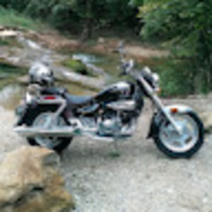 Meet your Posher, Timothy